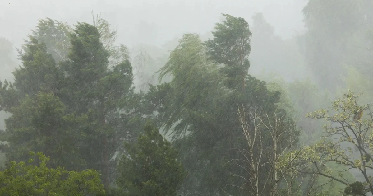 Штормовий вітер та — Штормовий вітер та його наслідки для регіону