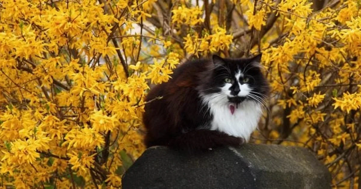 Синоптик дав надію на покращення погоди в Україні: коли варто чекати потепління