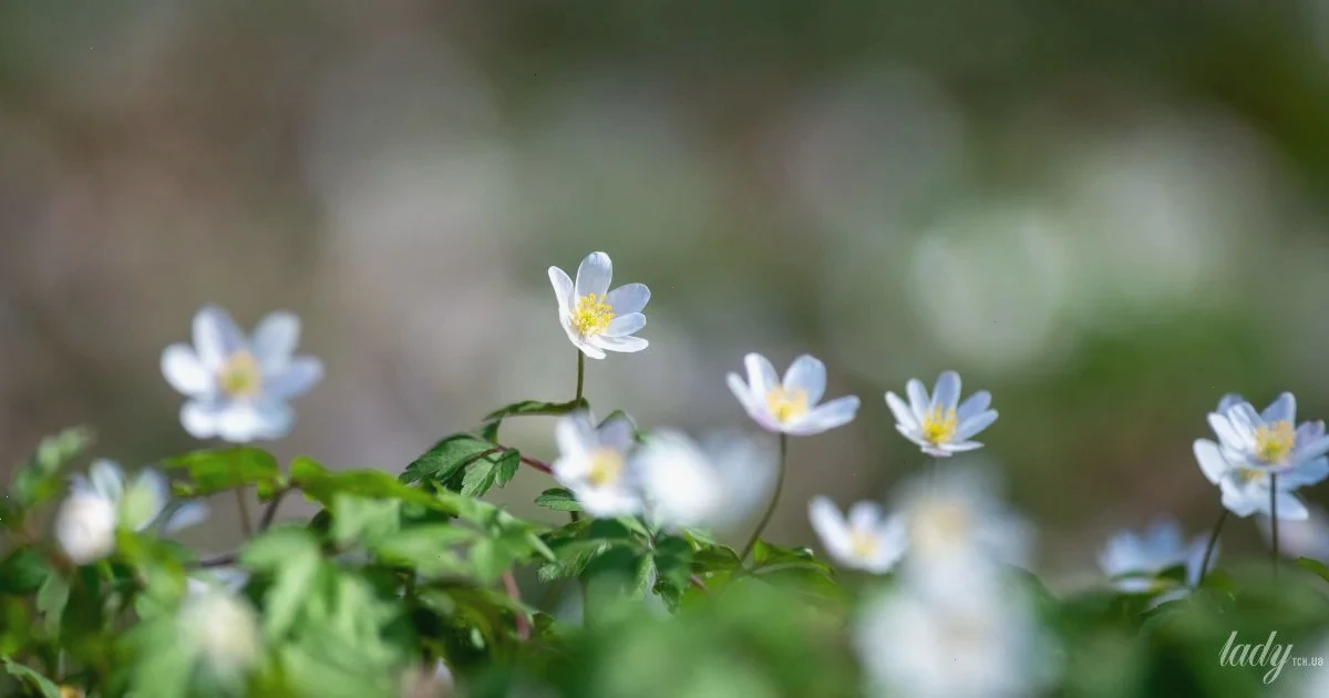Гороскоп на 26 — Гороскоп на 26: Зірки радять діяти