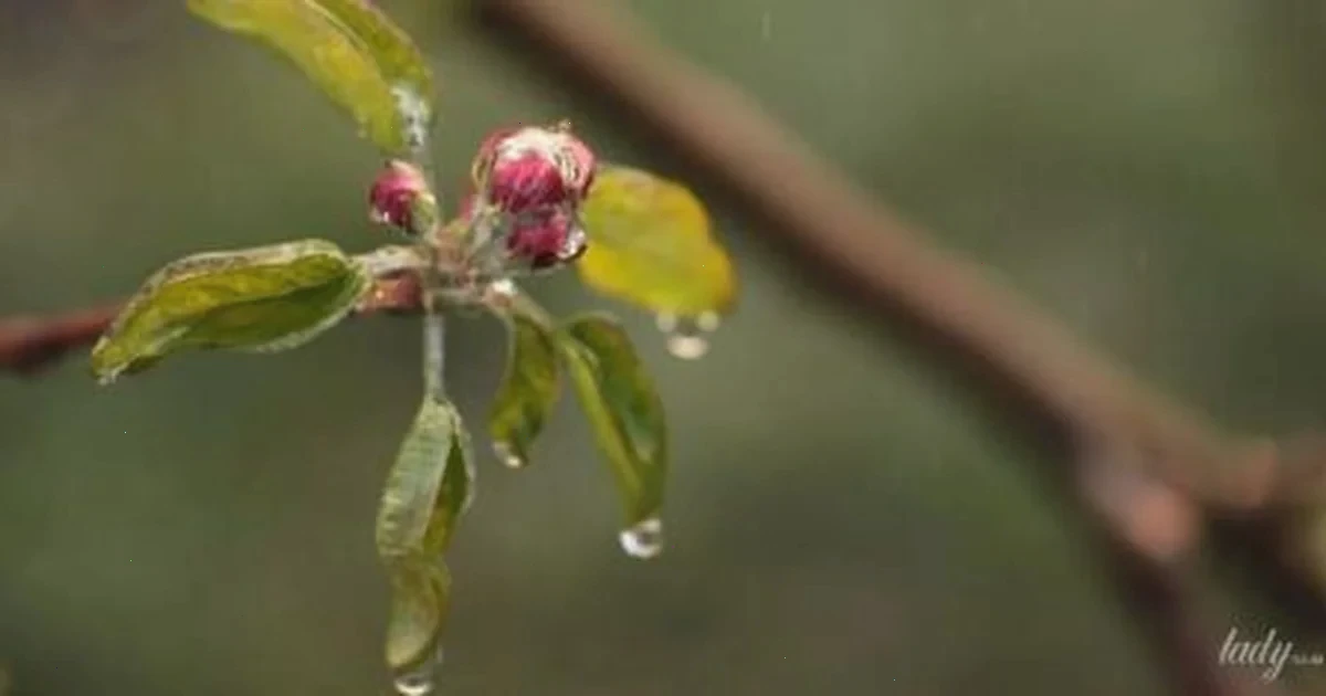 Гороскоп на 27 квітня: день для великих досягнень та уникнення дрібниць