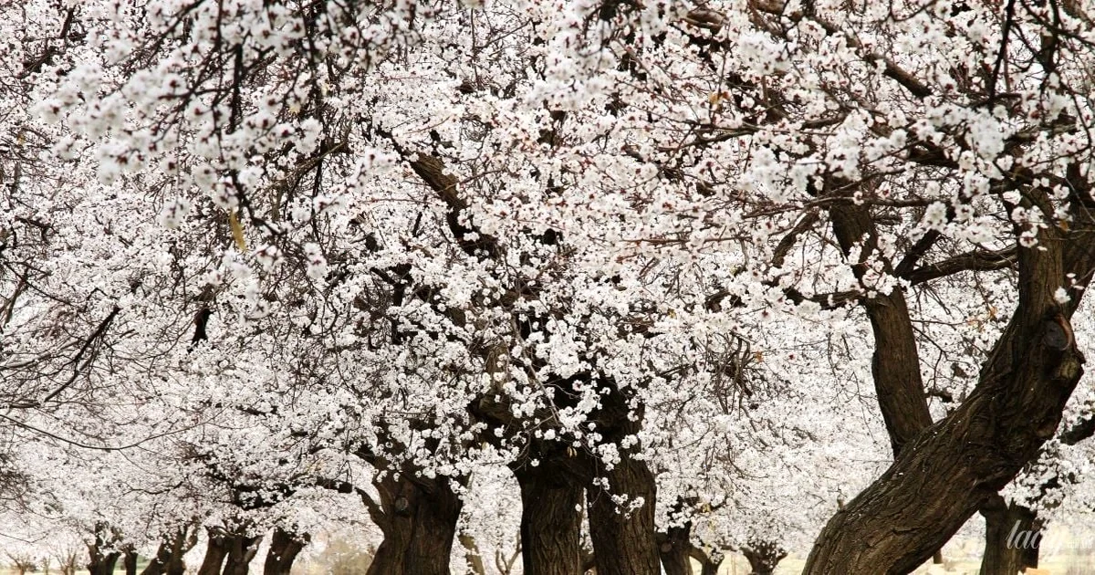 Сприятливий день для відпочинку та нових починань