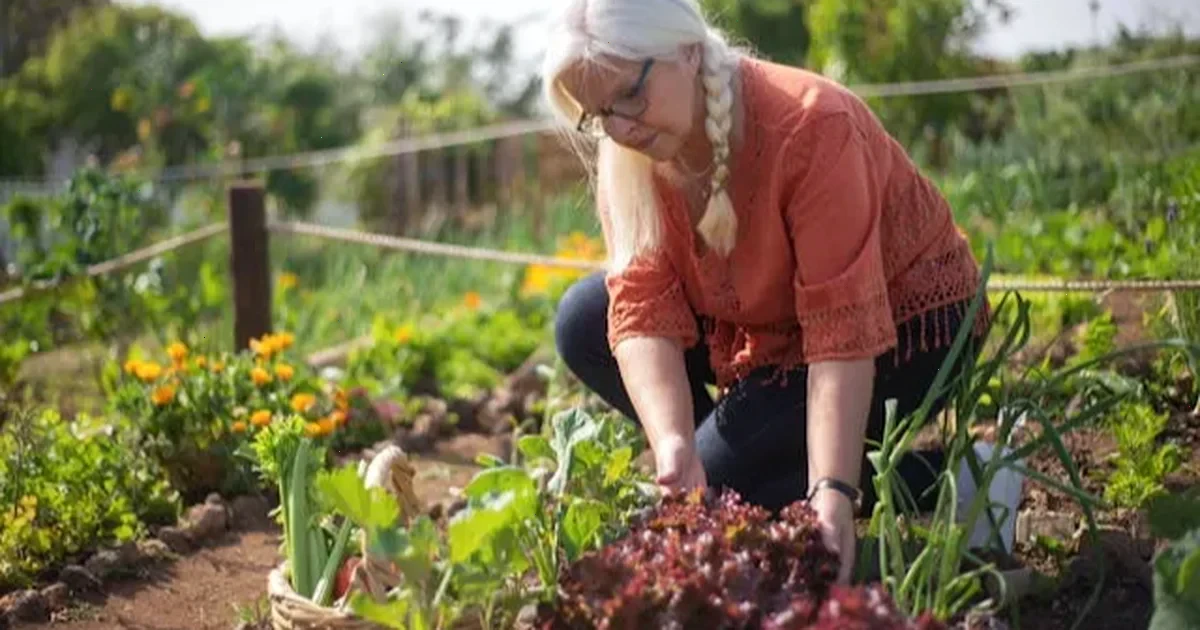 коли можна працювати на городі після Великодня