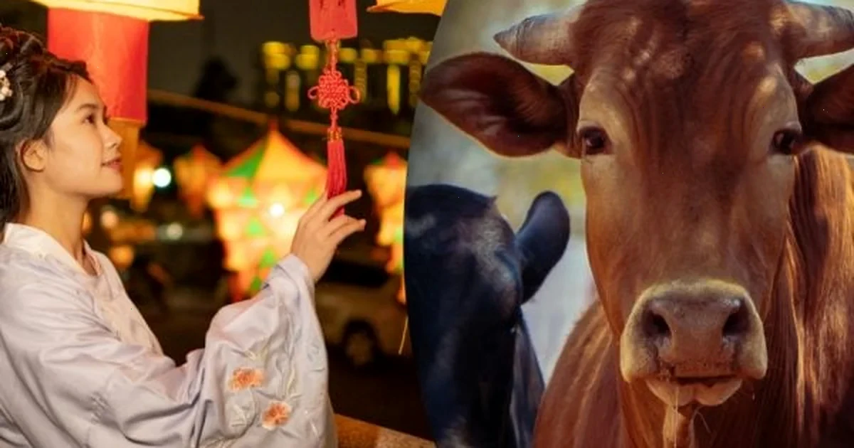 Китайський гороскоп на завтра