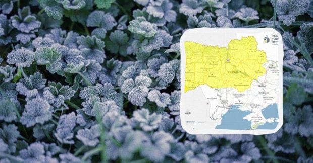 Небезпечні заморозки накриють Україну вже цієї ночі: температура впаде до -3° (карта)