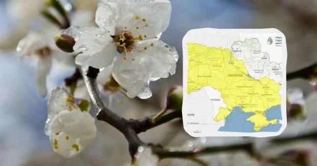 Небезпечні заморозки атакують Україну сьогодні вночі: яким областям приготуватись (карта)