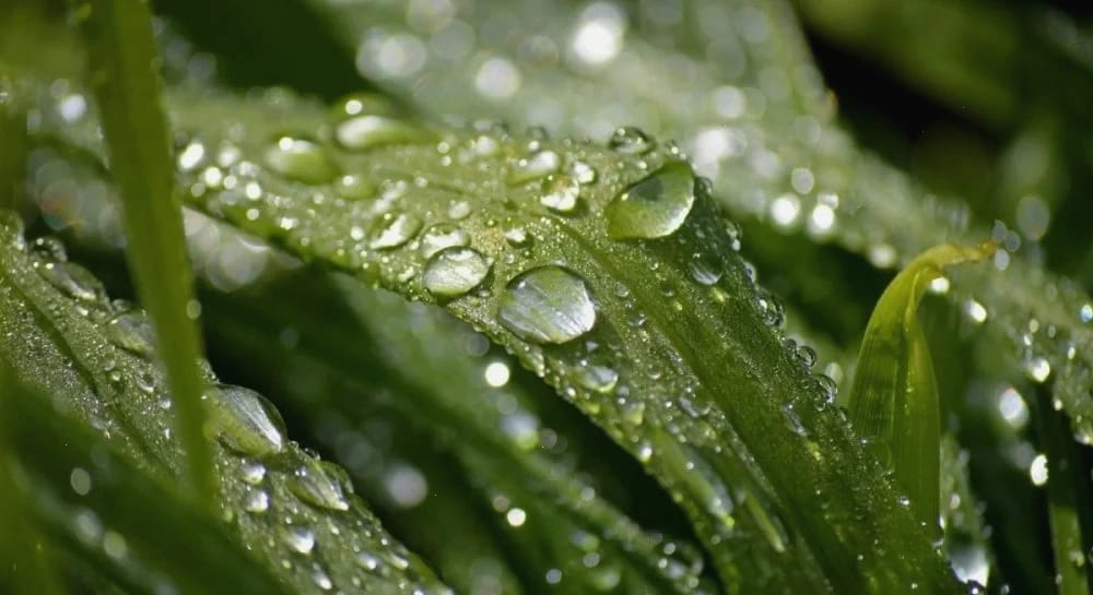 До +18°, але не скрізь: як зміниться погода в Україні цього тижня