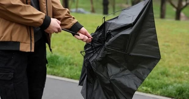 Погода в Україні погіршиться вже завтра: синоптикиня Діденко попередила про небезпеку