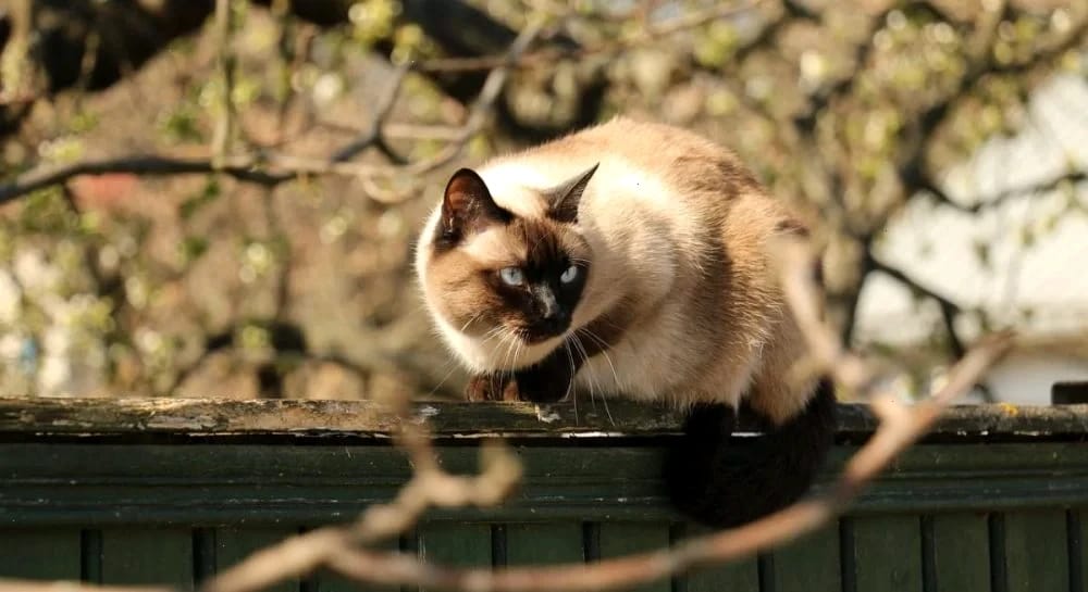 Напередодні вихідних погода в Україні нарешті почне покращуватися