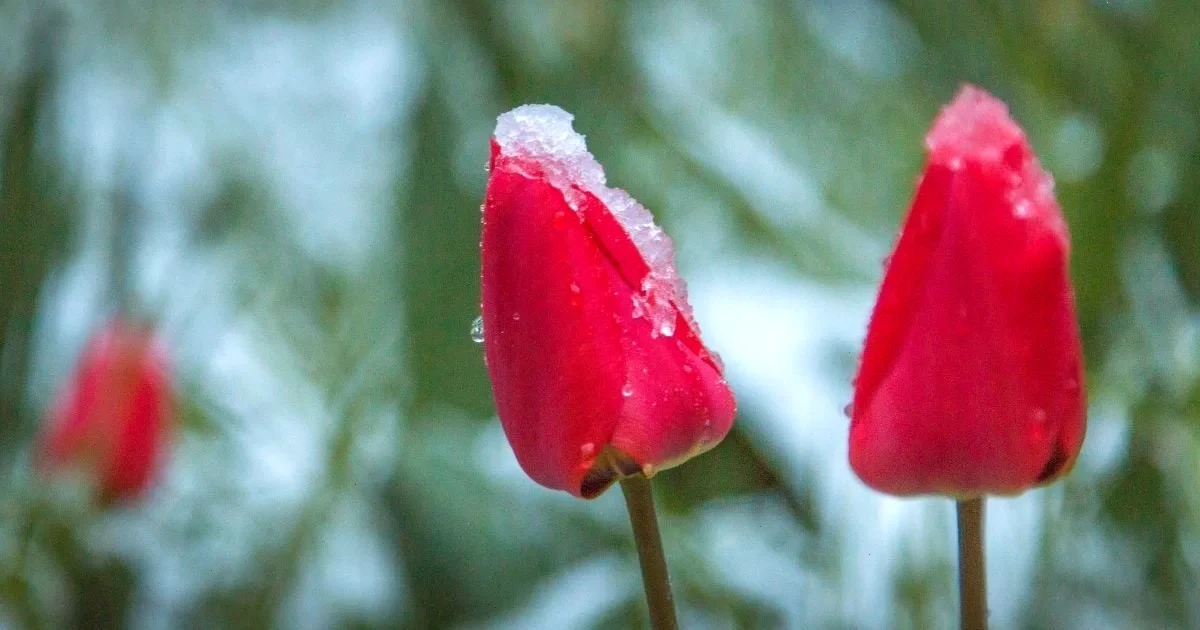 погода в Україні