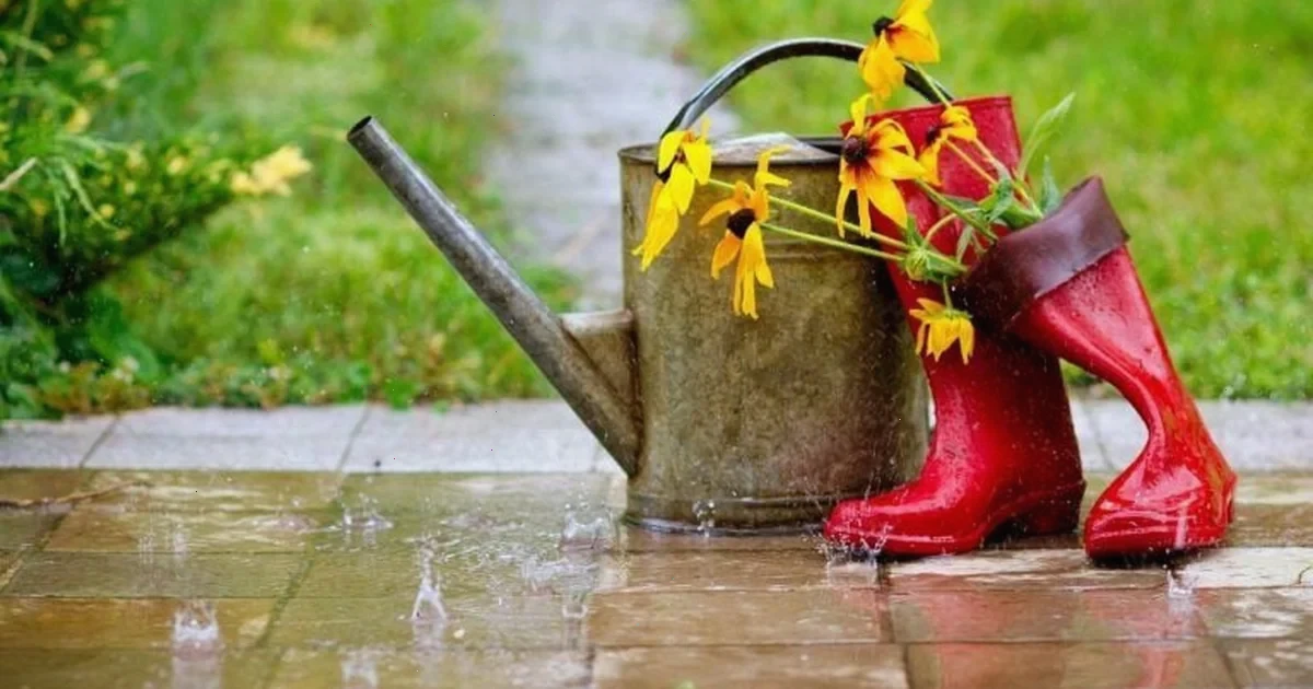 погода в Україні