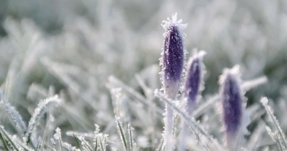 похолодання в Україні