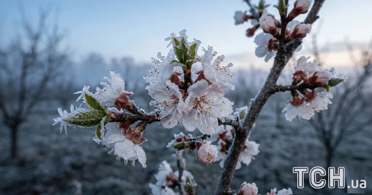 полярний холод в Україні