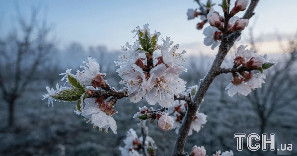 полярний холод в Україні