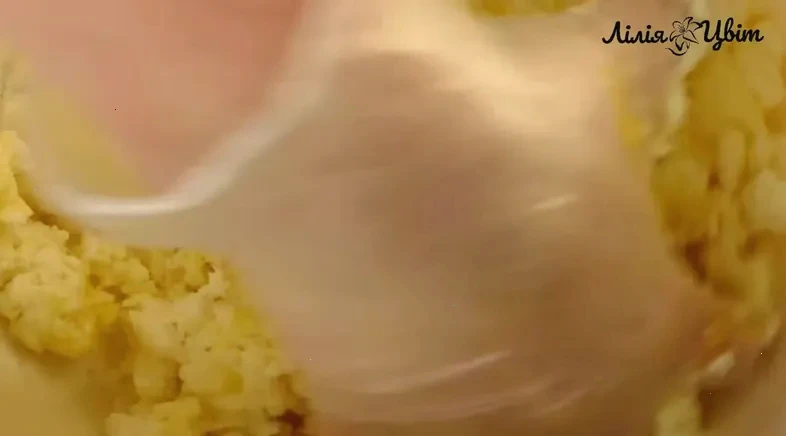 рецепт сирників — крок 2, покроковий рецепт