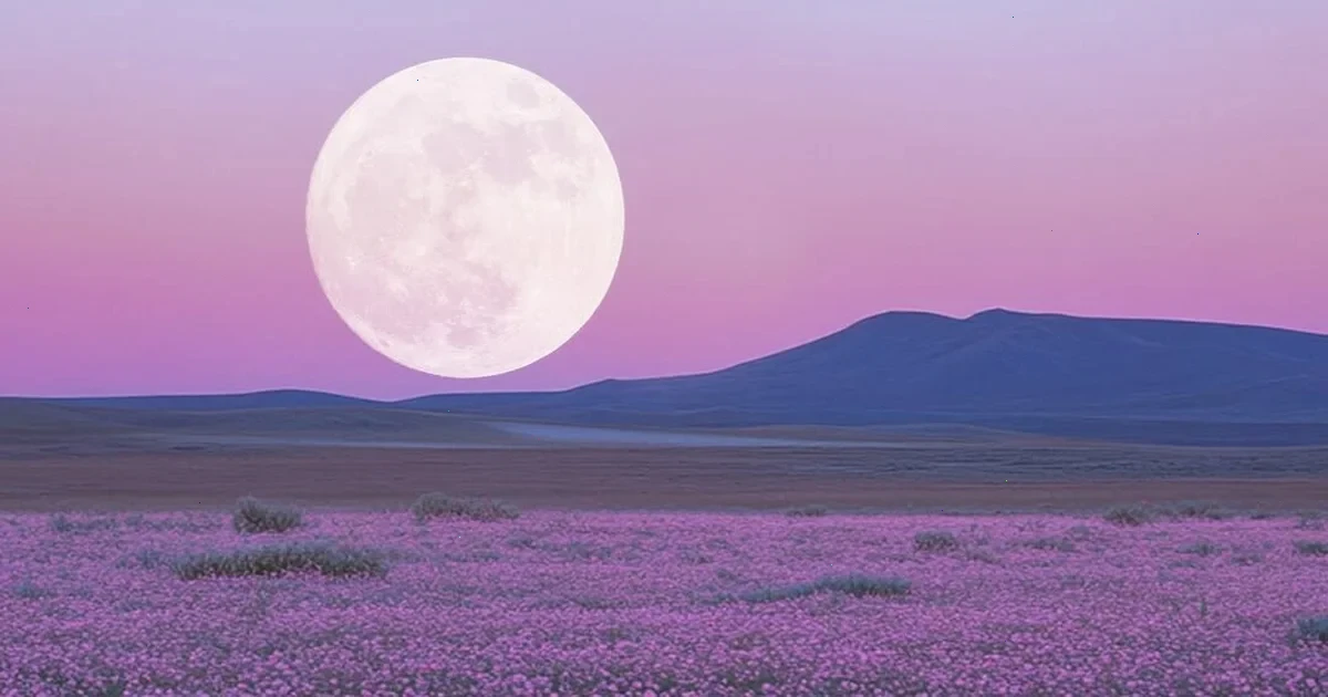 Рожева повня 1 квітня 2026