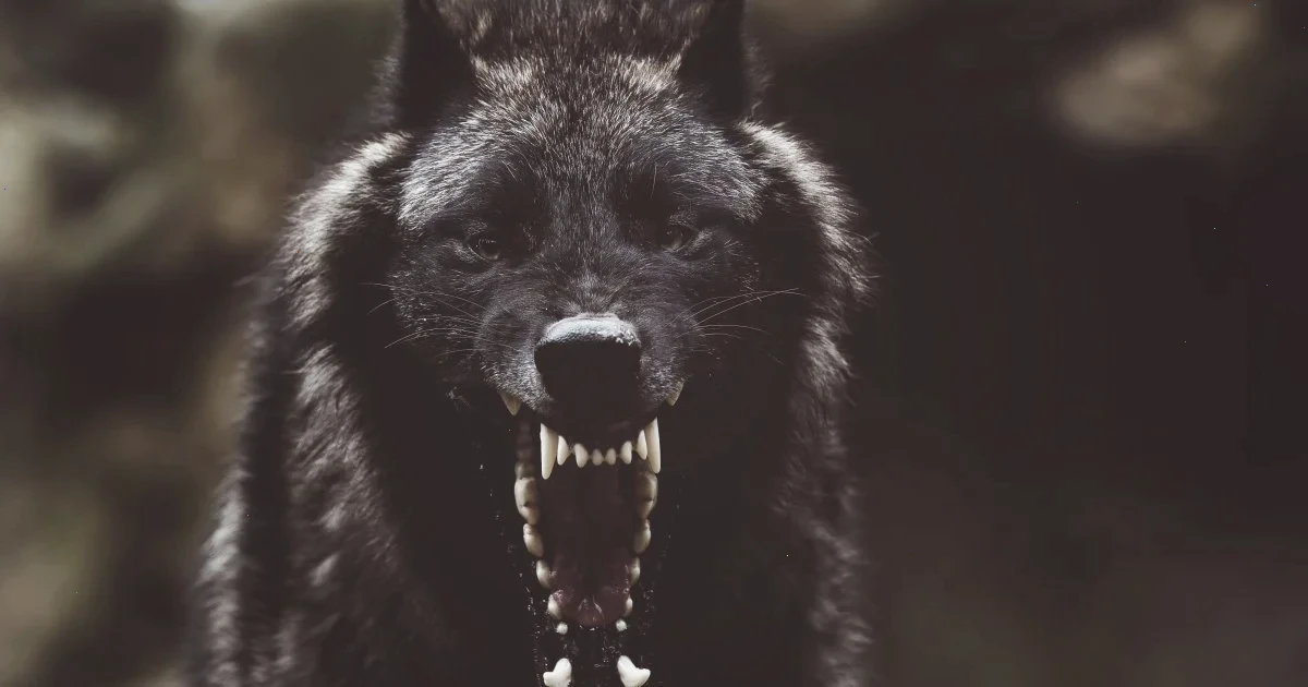 ризик сказу навесні