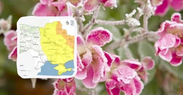 Заморозки атакують Україну сьогодні вночі: температура впаде до "мінусів" (карта)