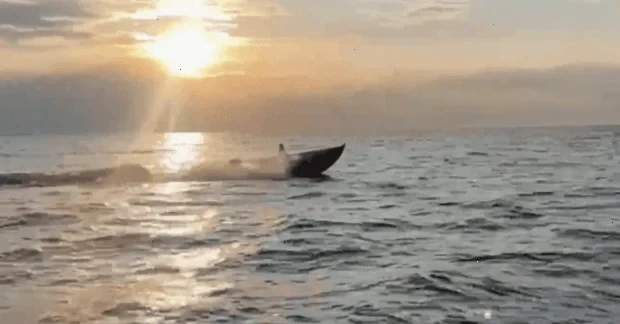 США відмовляються копіювати Україну у війні морських дронів: яка причина