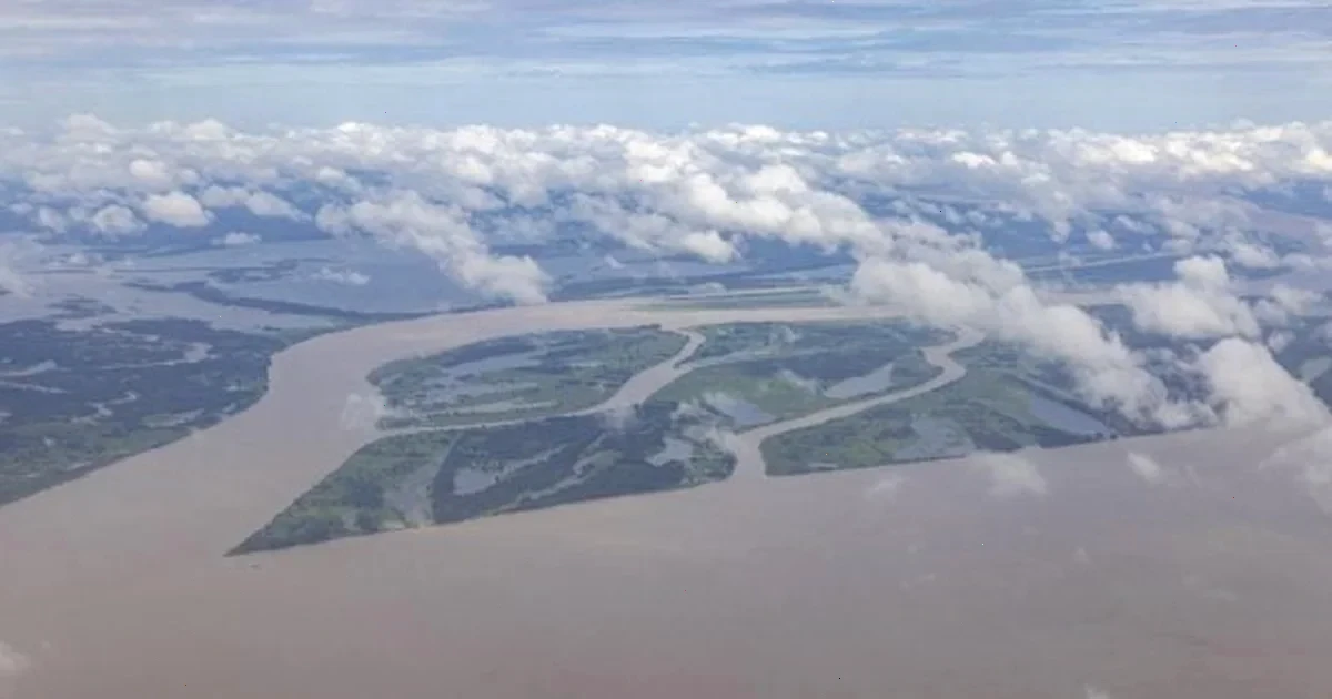 стародавні дороги в Амазонії