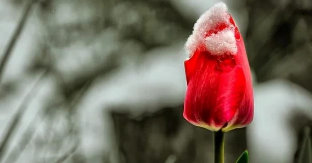 Дощі, мокриий сніг та вітер зіпсують погоду в Україні, - синоптик