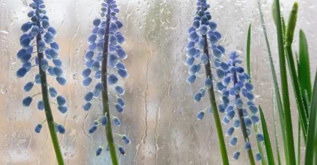 Синоптик розказав, яка погода буде в Україні у перші дні квітня