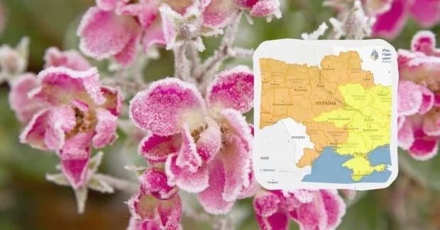 Заморозки атакують Україну ще не одну ніч: синоптики попереджають про небезпеку (карта)