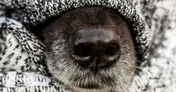 До кінця квітня про справжнє тепло можна забути, - синоптик