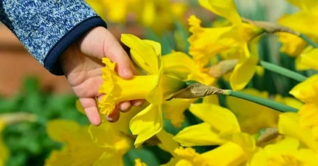 Синоптикиня Діденко назвала дати, коли до України повернеться весняне тепло