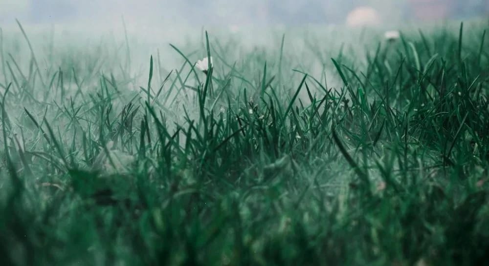 Тепло повернулося, але ненадовго: на Україну насувається нове похолодання