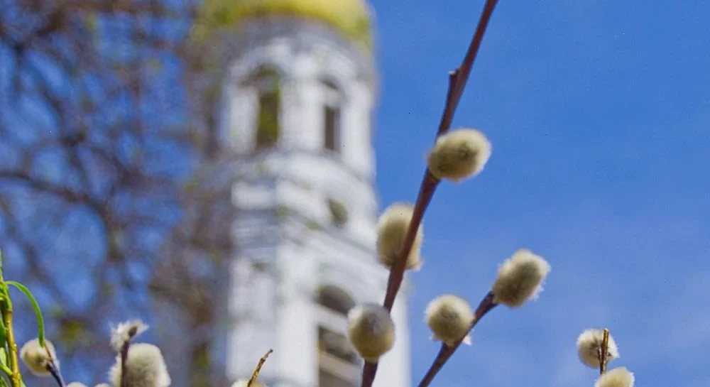 Вербна неділя порадує українців погодою: прогноз на 5 квітня