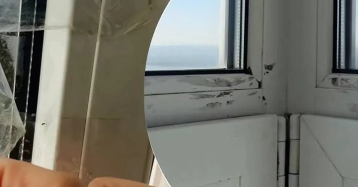 як відмити старий скотч