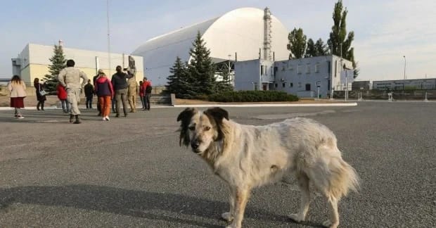 Загрози з повітря і на землі: на ЧАЕС розкрили, як РФ та Білорусь ускладнюють роботу атомників