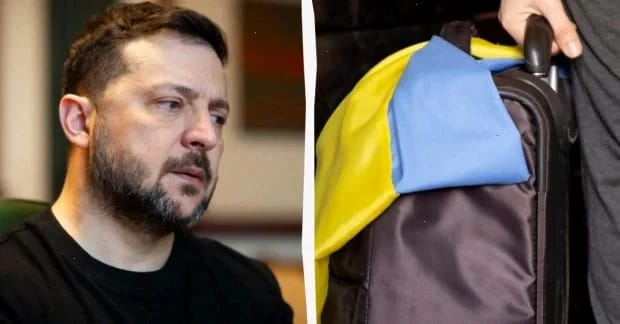 У Німеччині мають зайнятися тими, хто виїхав з України незаконно, - Зеленський