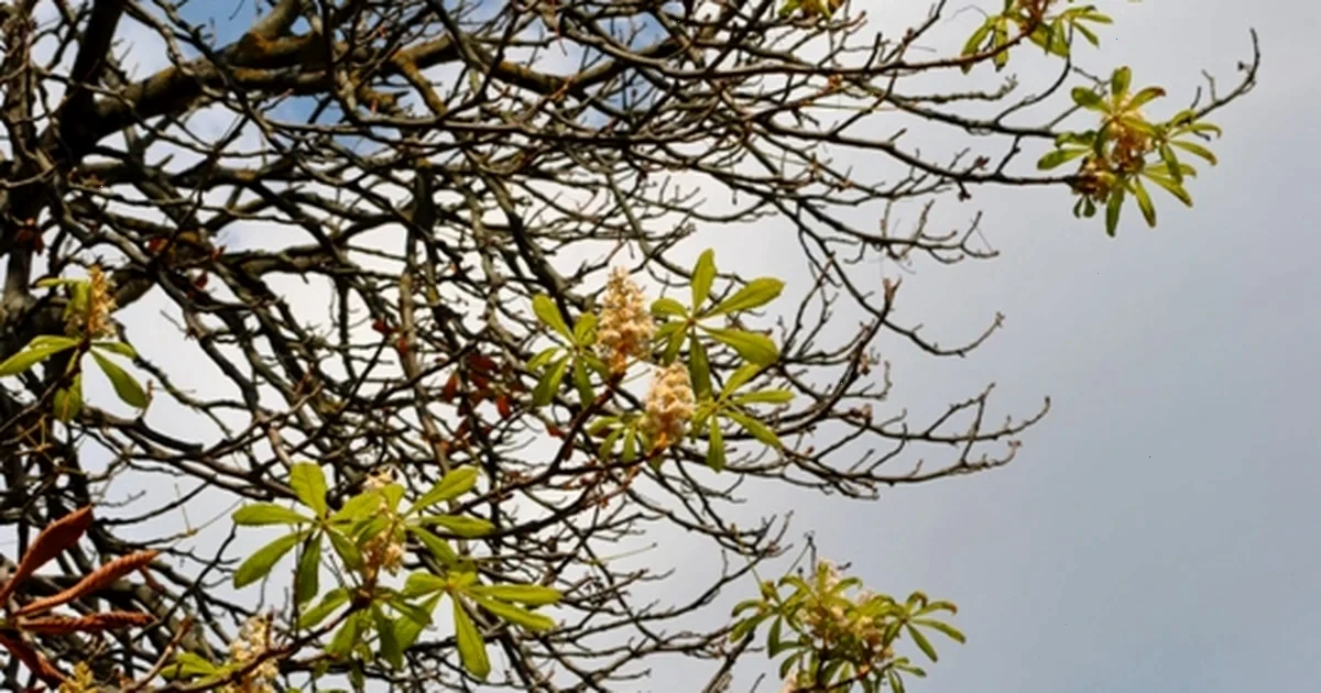 життя з гріхом і покаянням