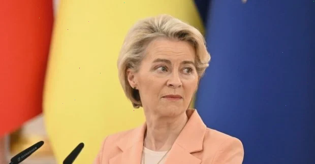 Перший транш з кредиту ЄС може надійти вже у квітні, - фон дер Ляєн